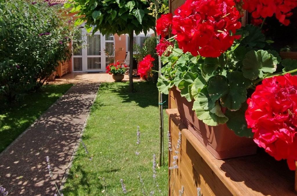 Villa Viola Apartmanház Gyula Szoba fotó